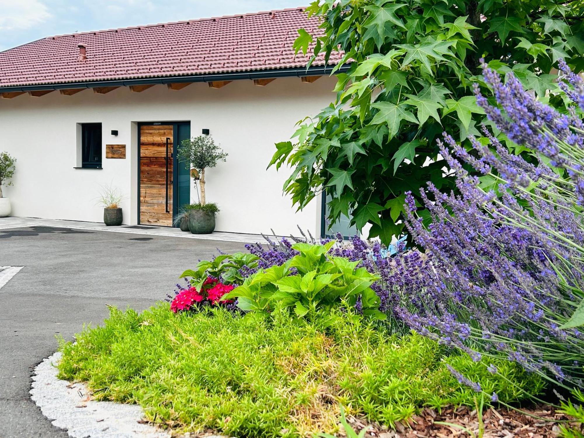 Vila Traumhaus In Den Weinbergen - Max 8 Personen - Mit Self-Check-In Sankt Stefan ob Stainz Exteriér fotografie